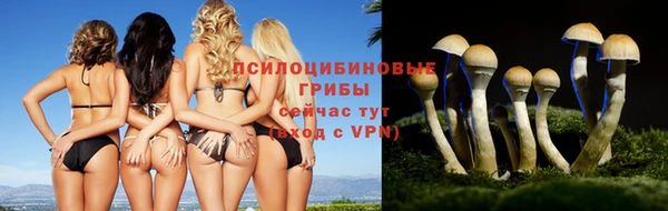 круглые Арсеньев