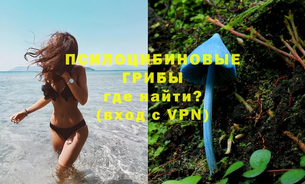 прущая мука Армянск