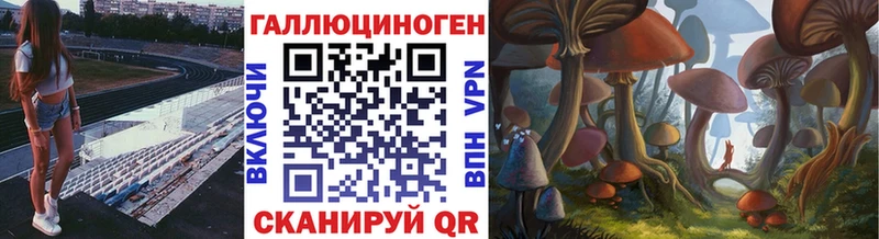 где найти   Борисоглебск  кракен ССЫЛКА  Галлюциногенные грибы Cubensis 